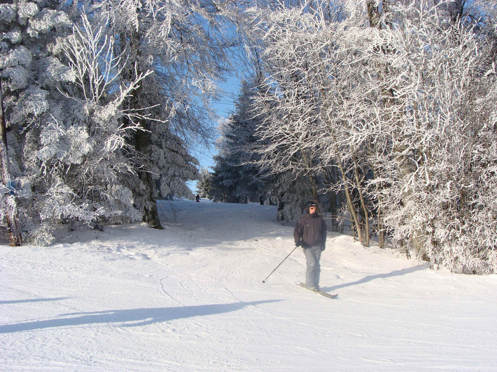 Gite Plein Sud Metzeral Bagian luar foto