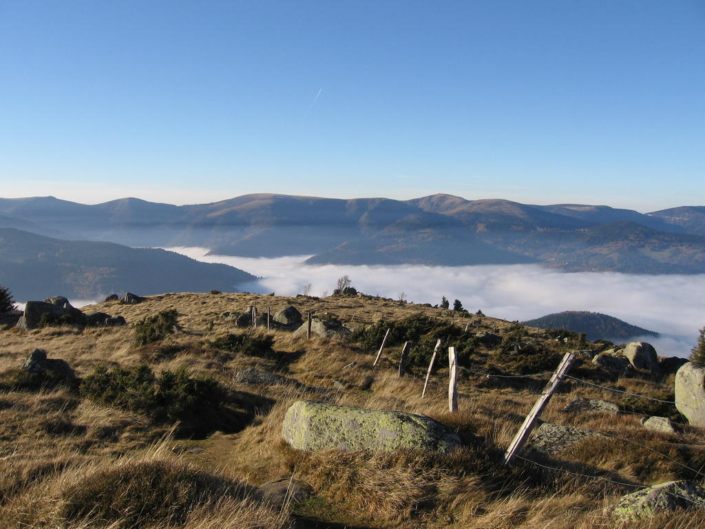 Gite Plein Sud Metzeral Bagian luar foto